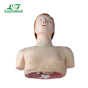 XC-404 half body CPR training manikin
