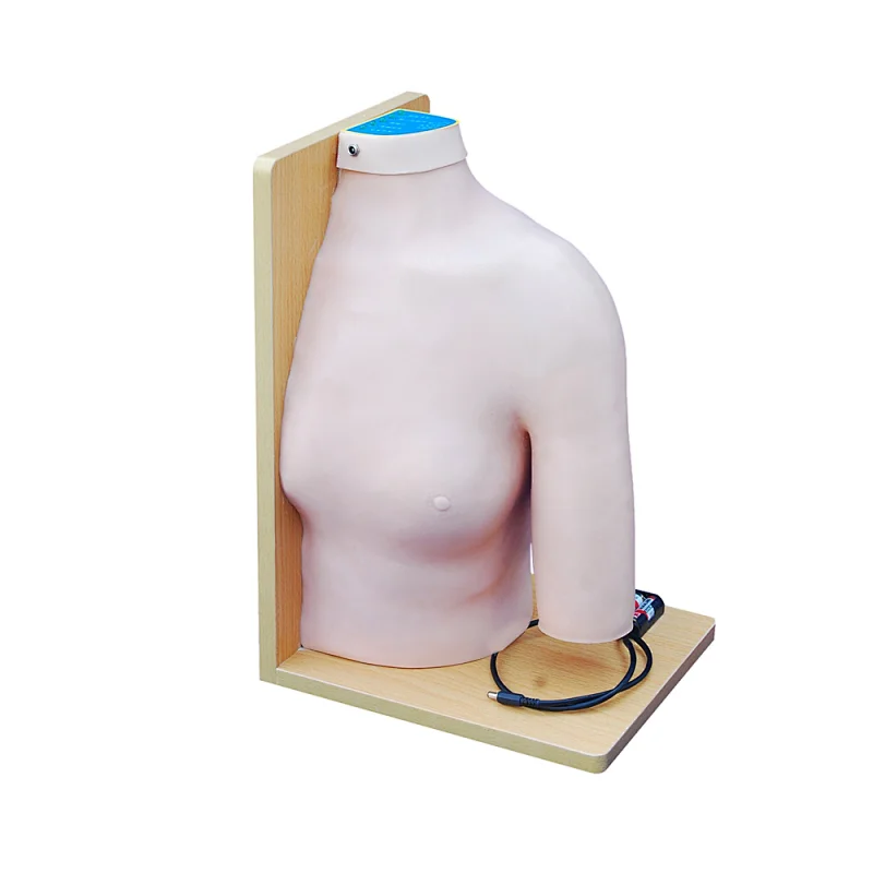 XC-452 human Shoulder Joint Intracavitary Injection Model