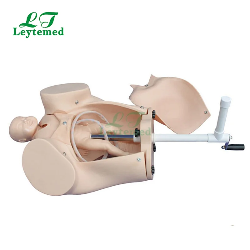 LTM402B Childbirth Pregnancy Midwifery teaching model