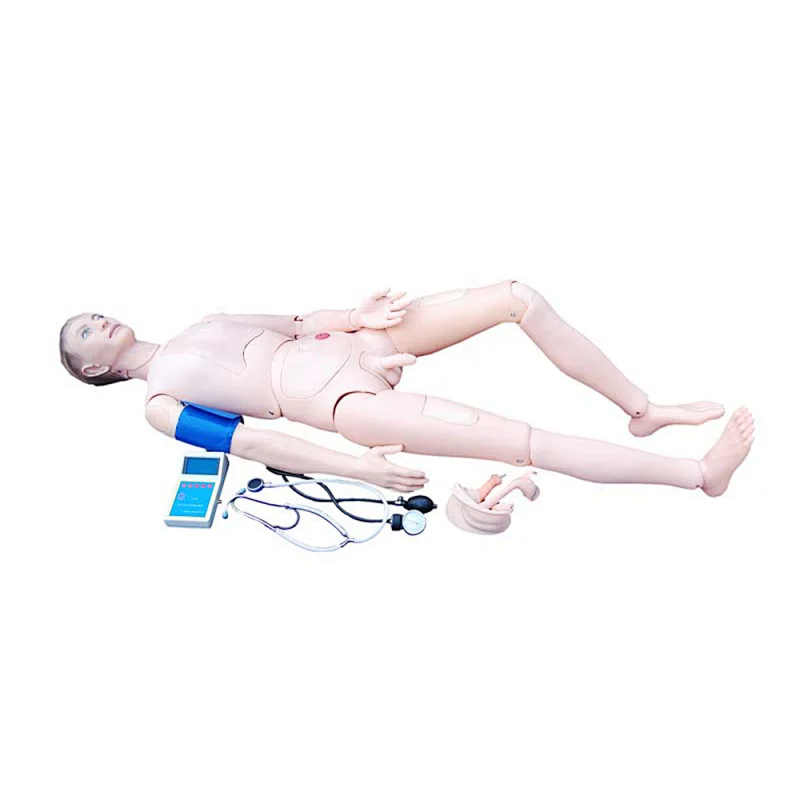 LTM401D Advanced Nurse Training Doll with Blood Pressure Training Arm model