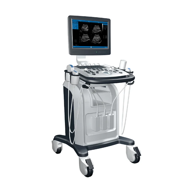 LT9902 two USB All Digital B/W Ultrasound System
