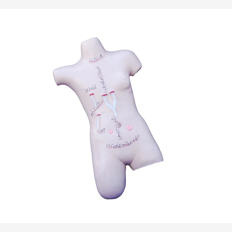 LTM444 surgical suture and bandaging training model