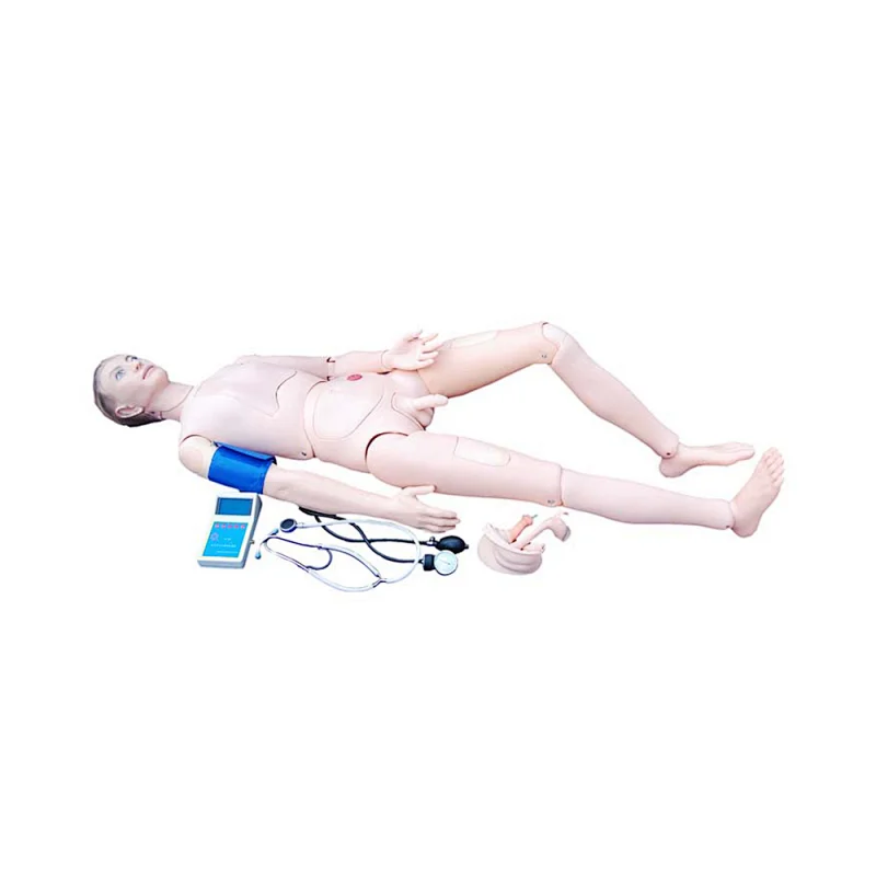 LTM401G female nursing teaching manikins with Blood Pressure Training Arm