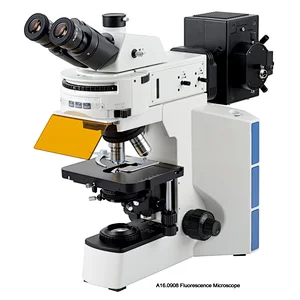 Fluorescence Microscope, Semi-APO