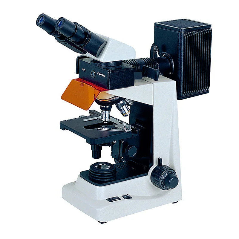 Fluorescence Microscope Fluorescence Microscope