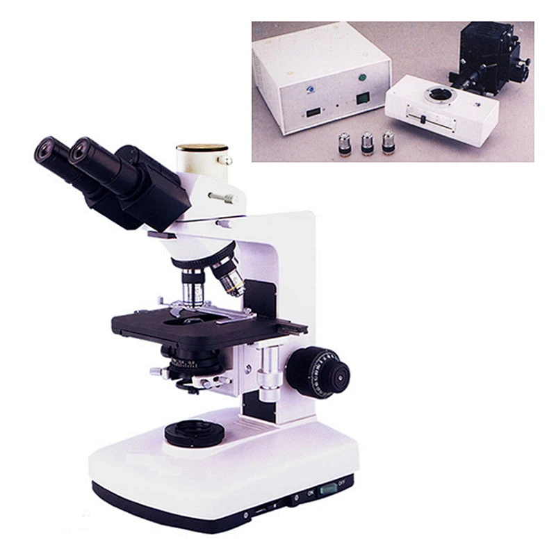 Fluorescent Microscope