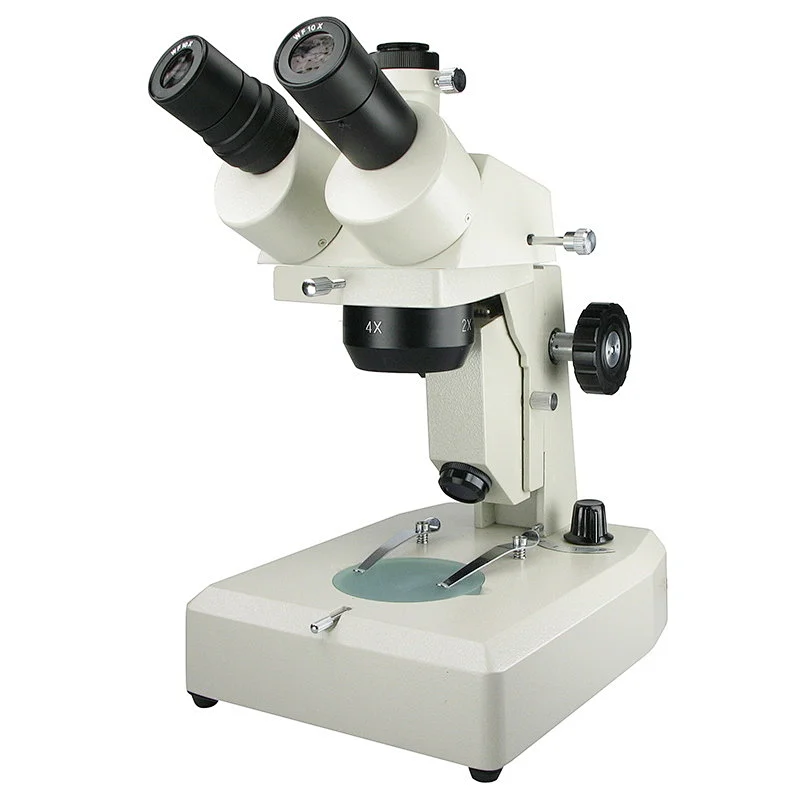 Stereo Microscope Stereo Microscope