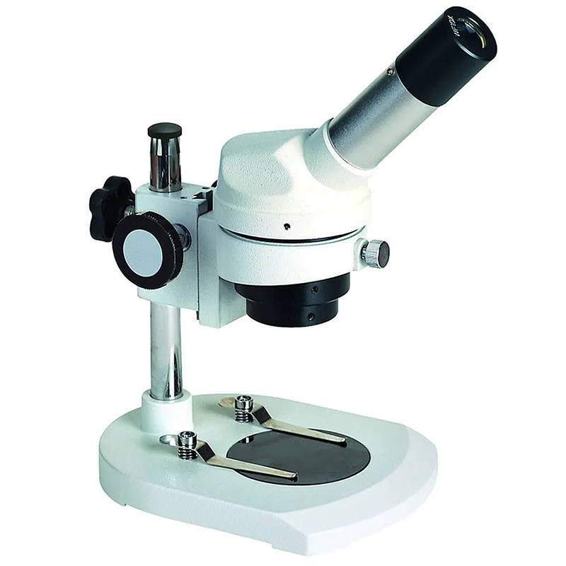 Stereo Microscope Stereo Microscope