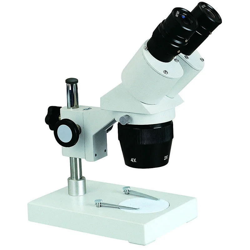 Stereo Microscope Stereo Microscope