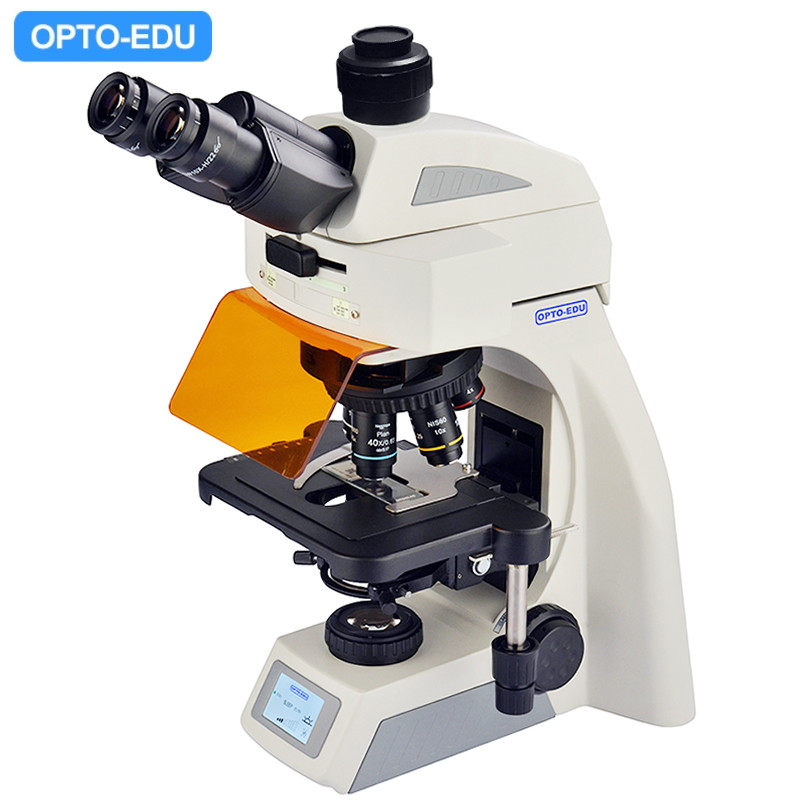 LED Fluorescent Microscope, Trinocular, B,G