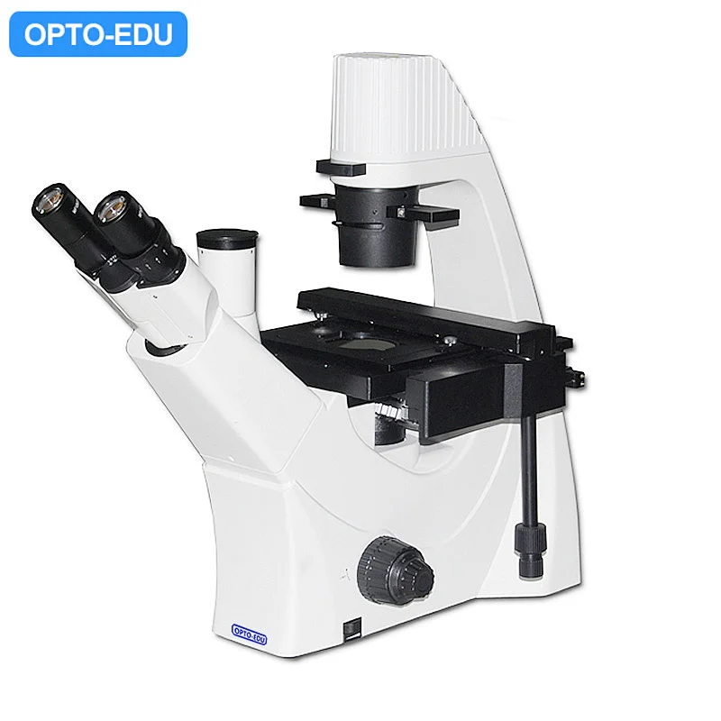 Inverted Biological Phase Contrast Microscope