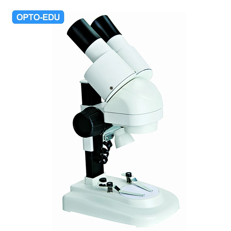 Stereo Microscope Stereo Microscope