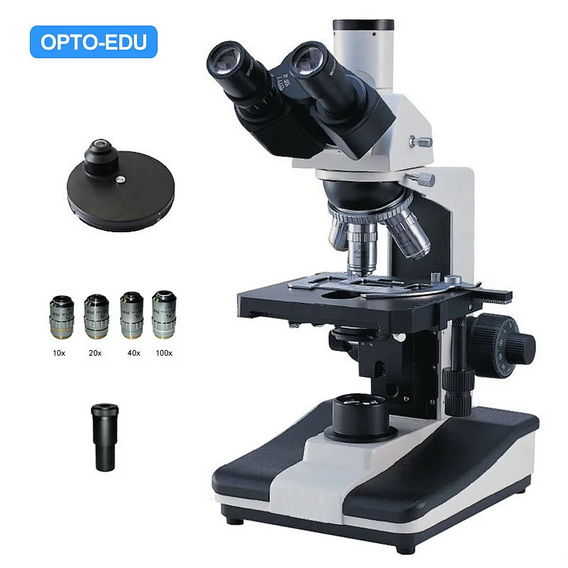 Phase Contrast Microscope Phase Contrast Microscope
