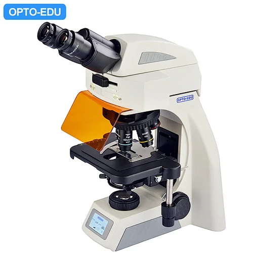 Microscópio Fluorescente LED, Binocular, B,G