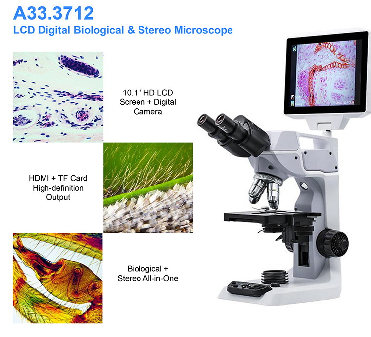 OPTO-EDU A33.3712-5.0M Microscope biologique numérique LCD 10,1