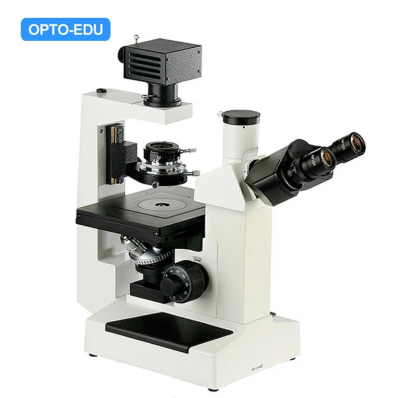 Inverted Biological Phase Contrast Microscope Inverted Biological Phase Contrast Microscope