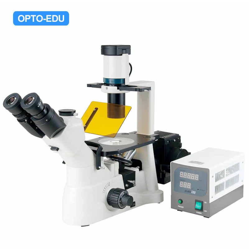 Inverted Flourescence Microscope, Critical Illumination, Semi-APO, Phase Contrast, B,G
