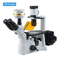 Inverted Flourescence Microscope, Critical Illumination, Semi-APO, Phase Contrast, B,G