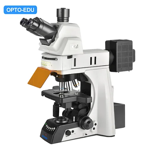 Microscópio fluorescente vertical, semi-APO, semiautomático, halogênio 12V100W