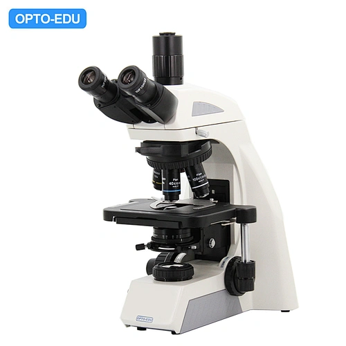 Laboratory Biological Microscope, Trinocular