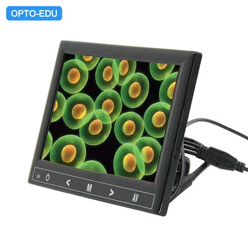 Câmera digital LCD de 7", saída AV
