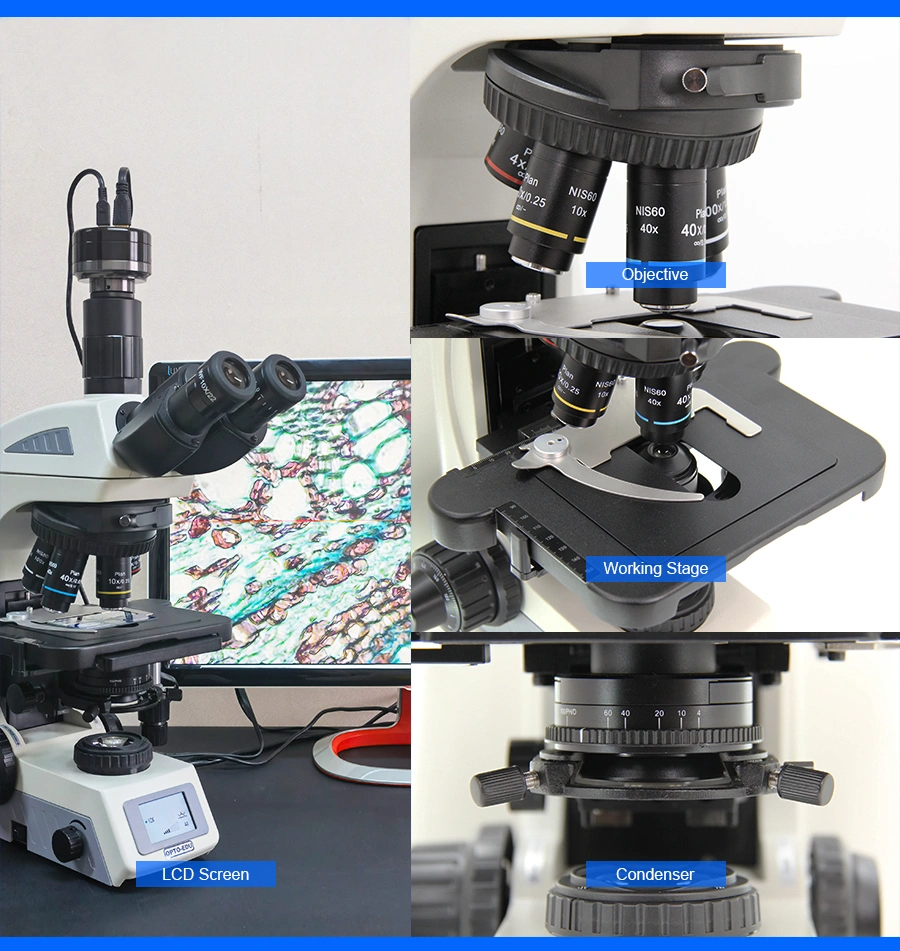 Opto-Edu A12.1062 Research Level Biological Microscope