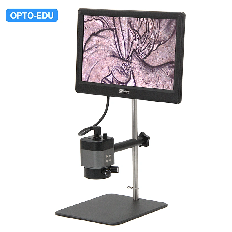 Microscope numérique pour la réparation de téléphone, zoom 600X, qualité  d'image 3,6 MP, écran
