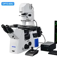 Full Motorized Inverted Fluorescent Microscope, Semi-APO, BF/PH/PL/FL/DIC