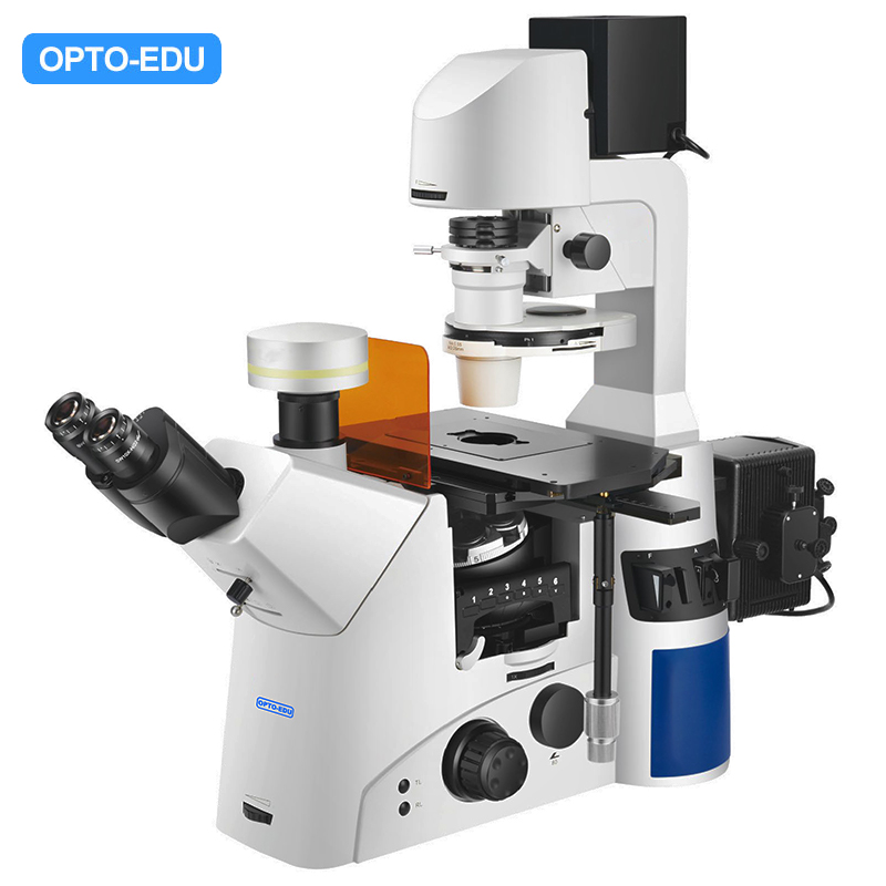 ECLIPSE Si, Microscópios verticais, Produtos para microscópio