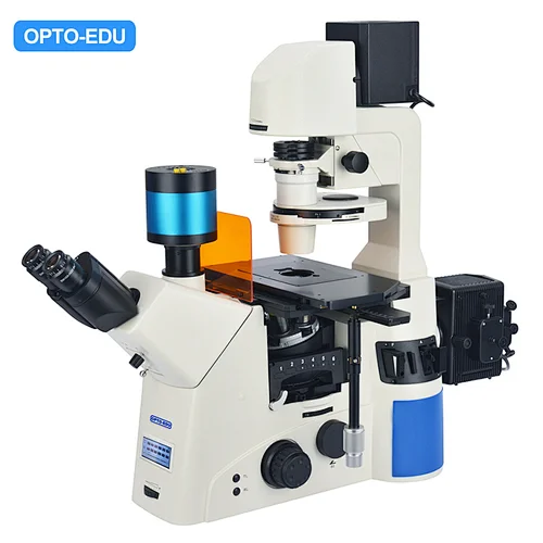 Inverted Fluorescent Microscope, LCD Touch Screen Semi-APO, BF/PL/PH/FL, LCD Touch Screen