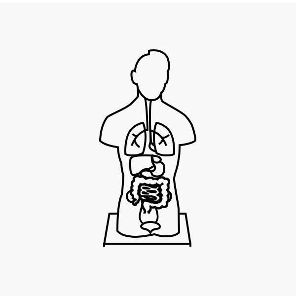 E3A Torso & Extremities
