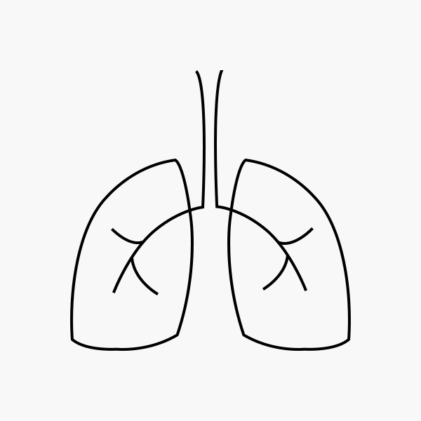 E3E Respiratory System