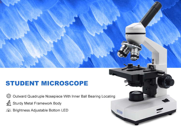 Microscope biologique professionnel 40x2000x pour étudiants