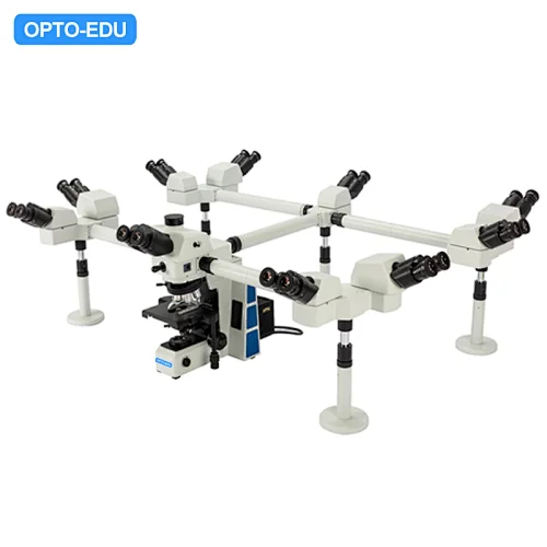 Multi View Microscope, 10 People