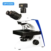 Motorized Biological Microscope, BF, XYZ Motorized