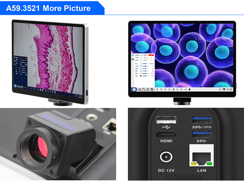 BTX10 iPad/Android WiFi Tablet Microscope Camera with 10-Inch LCD Display