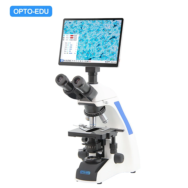 OPTO-EDU A33.1502 10.5 microscopio digitale LCD touch screen, 8.0