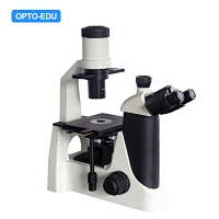Inverted Microscope