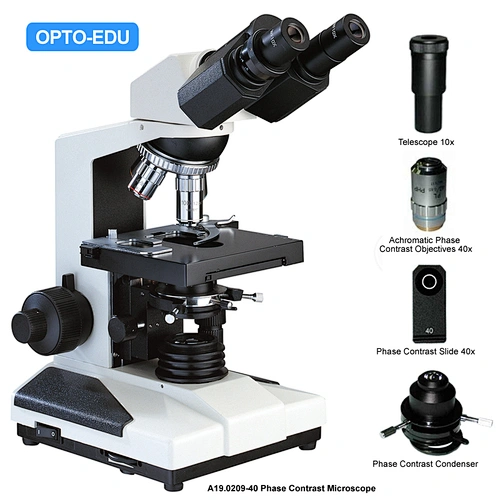 Microscópio de Contraste de Fase, Contraste de Fase Acromático 40x