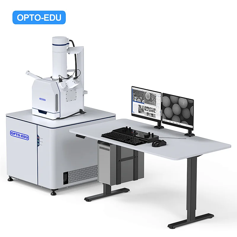 Tungsten Filament Scanning Electron Microscope, SE, 300000x