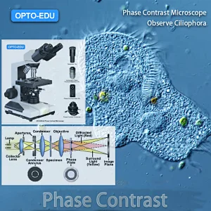 How to select Phast contrast microscope?