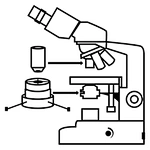 What is dark field microscope?