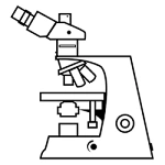 What is polarizing microscope?