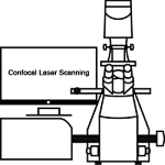 What is Confocal Laser Scanning Microscope (CLSM)?