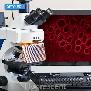 How to Select Fluorescent Microscope？