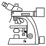 What is fluorescence microscope?