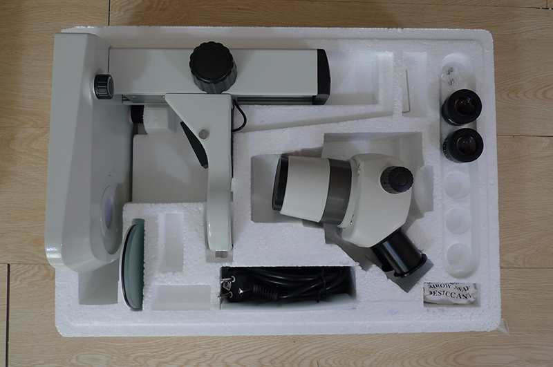 Stereo Microscope