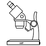 What is stereo microscope?