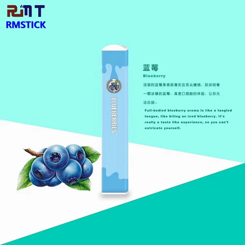 RMSTICK Simple and Popular Vape Pod Multi Flavors Nicotine Salt 300 Puffs Disposable POD Vape pen