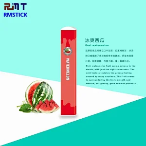 RMSTICK Simple and Popular Vape Pod Multi Flavors Nicotine Salt 300 Puffs Disposable POD Vape pen